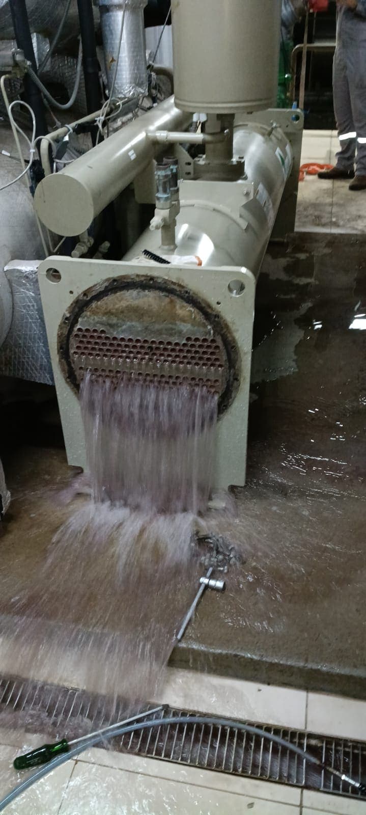 Profissional da Nortech analisando relatórios técnicos